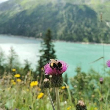 Haus Dora Apartment 3 Ahorn Mayrhofen Dış mekan fotoğraf